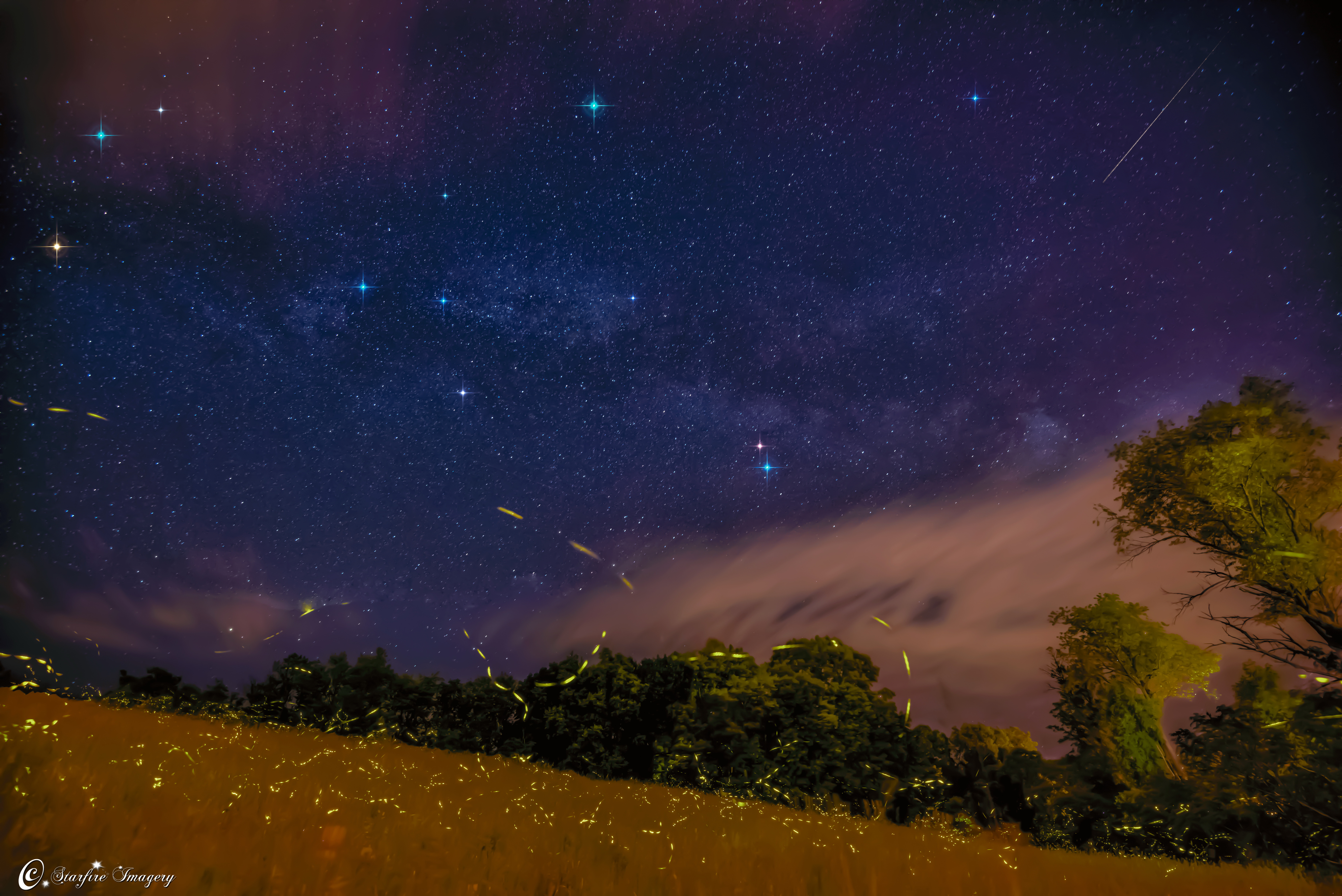 Firefly Trails Under Milky Way Captured by Astrophotographer (Photo)